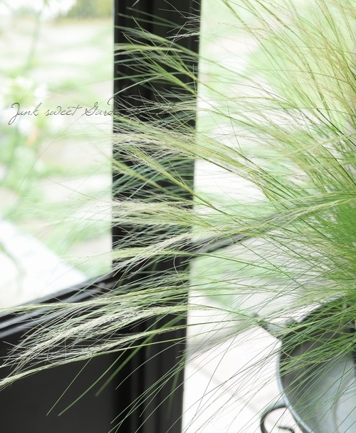 �ڥ��饹��ʪ�� ���ƥ��ѡ��ƥ̥��å��� �إ��󥸥���إ��� �إե��������饹��