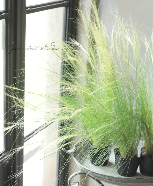 �ڥ��饹��ʪ�� ���ƥ��ѡ��ƥ̥��å��� �إ��󥸥���إ��� �إե��������饹��