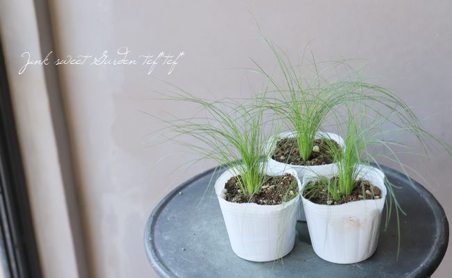 �ڥ��饹��ʪ�� ���ƥ��ѡ��ƥ̥��å��� �إ��󥸥���إ��� �إե��������饹��