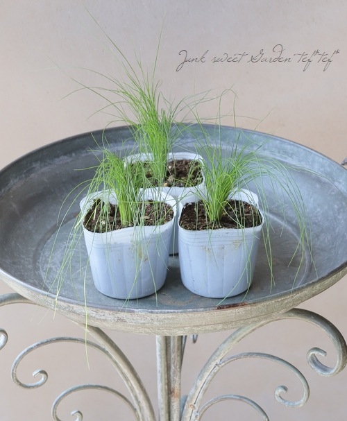 �ڥ��饹��ʪ�� ���ƥ��ѡ��ƥ̥��å��� �إ��󥸥���إ��� �إե��������饹��