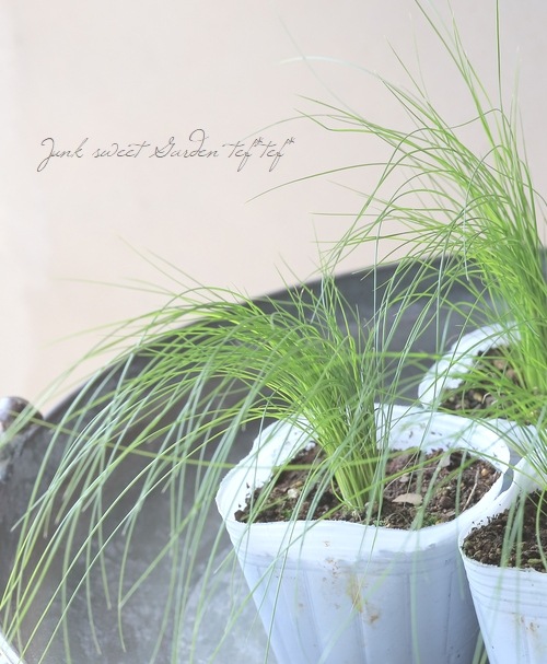 �ڥ��饹��ʪ�� ���ƥ��ѡ��ƥ̥��å��� �إ��󥸥���إ��� �إե��������饹��