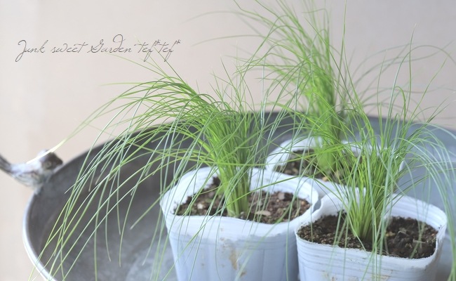 �ڥ��饹��ʪ�� ���ƥ��ѡ��ƥ̥��å��� �إ��󥸥���إ��� �إե��������饹��