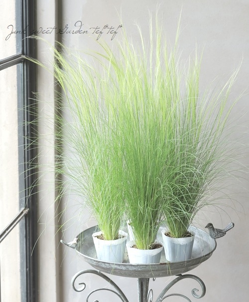 �ڥ��饹��ʪ�� ���ƥ��ѡ��ƥ̥��å��� �إ��󥸥���إ��� �إե��������饹��