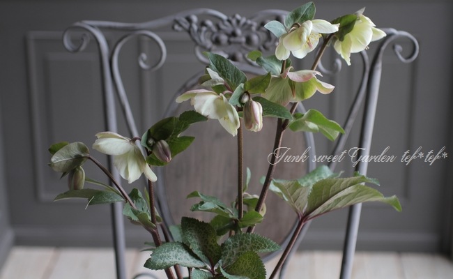 ホワイトローズの豪華特大スウィートリース♪ ホワイトローズの豪華特大スウィートリース♪