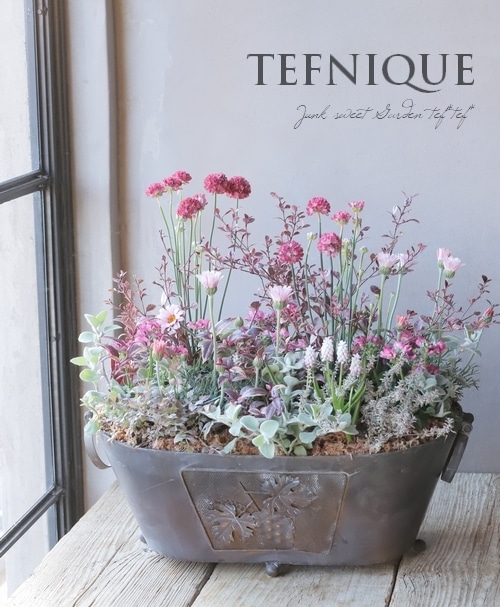寄せ植え】-TEFNIQUE-寄せ植え 2023 * no.12 * 『大人可愛い春花の