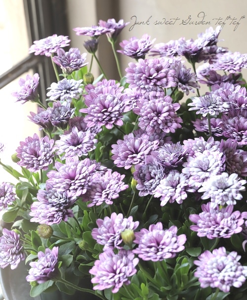 ���֥餵��Υ����ƥ����ڥ�ޥࡡ�إ�����