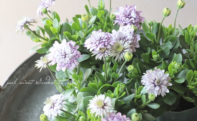 ���֥餵��Υ����ƥ����ڥ�ޥࡡ�إ�����