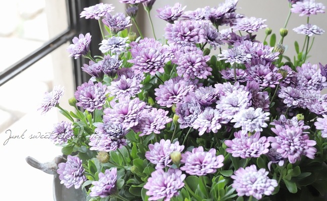 ���֥餵��Υ����ƥ����ڥ�ޥࡡ�إ�����