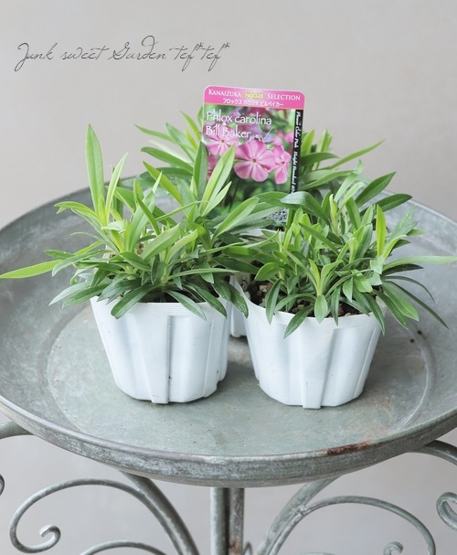 �ե��å�����������ʡ��إӥ�٥�������