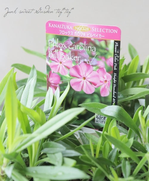 �ե��å�����������ʡ��إӥ�٥�������