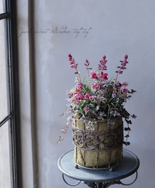 �����ꥭ�󥮥祽�����إ��󥷥󥰥�������١�