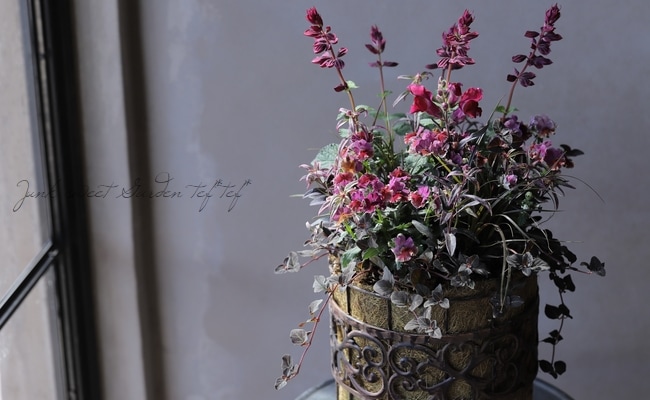 �����ꥭ�󥮥祽�����إ��󥷥󥰥�������١�