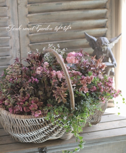 �����ꥭ�󥮥祽�����إ��󥷥󥰥�������١�