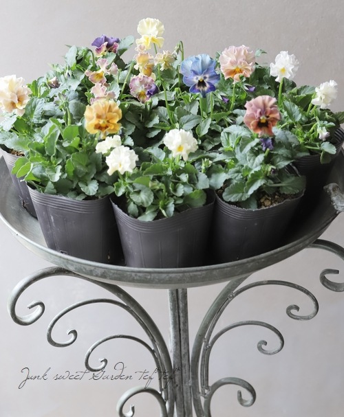 �������व��Υӥ��顡�إѥ��ƥ�ե��١��ڥ�����