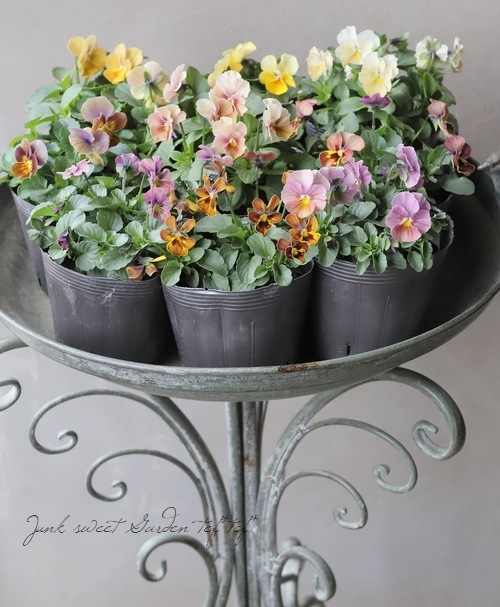 ڹ߷󥪥ꥸʥ ӥ顡إȥ磻饤ȡ