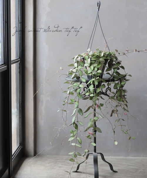 2_000000011943.jpg?1678209903