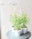 �ɺ�����ӥ����ߥ顼���� �إ��եȥԥ󥯡�