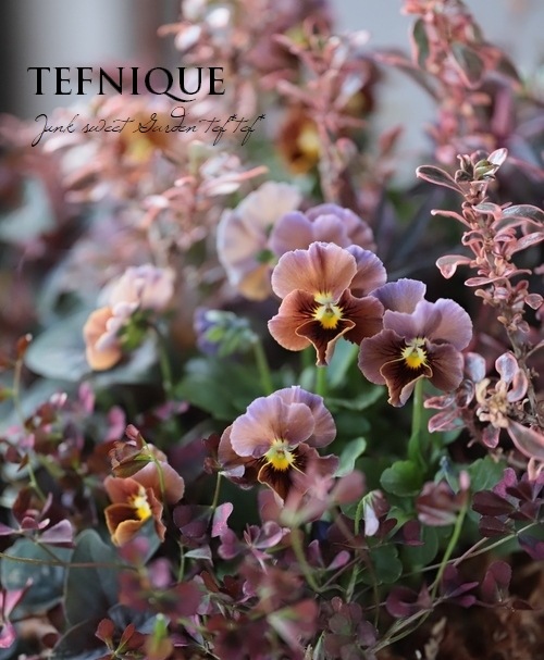 ����LUXURY SELECTION��tef*tef*���ꥸ�ʥ� �ӥ���إե����祳�ե���MIX