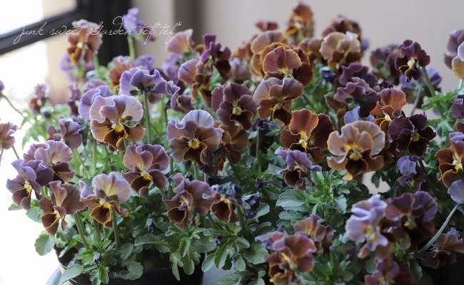 ����LUXURY SELECTION��tef*tef*���ꥸ�ʥ� �ӥ���إե����祳�ե���MIX