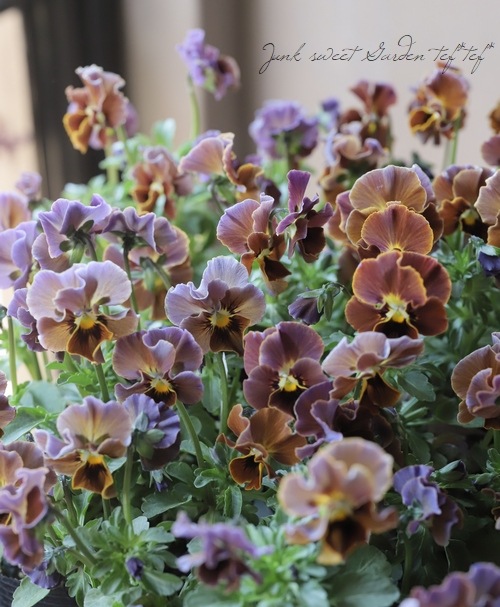 ����LUXURY SELECTION��tef*tef*���ꥸ�ʥ� �ӥ���إե����祳�ե���MIX