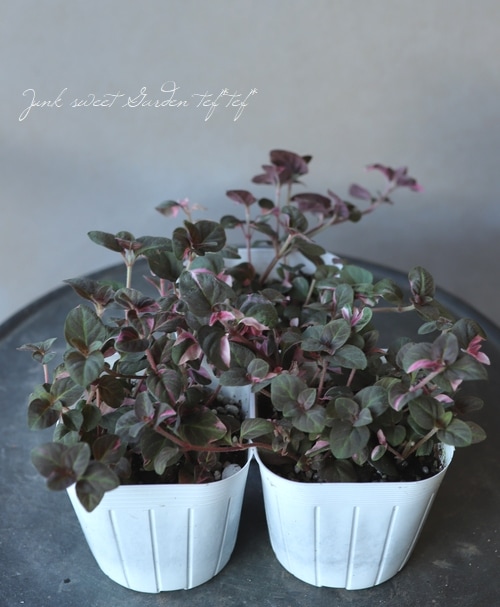 ������Ƽ�եꥷ�ޥ������إ��塼�ƥ��󥰥�������