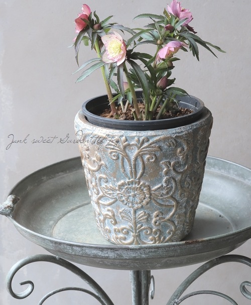 �ڻ��ߡ� �����ӡ����饦��ɥݥå�L��