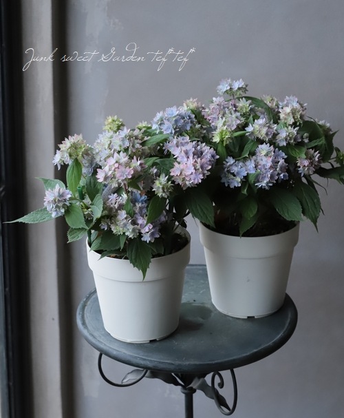 遊花　ページ 楽天市場】火の鳥 スカジャン TZSJ-002 花旅楽団 スクリプト