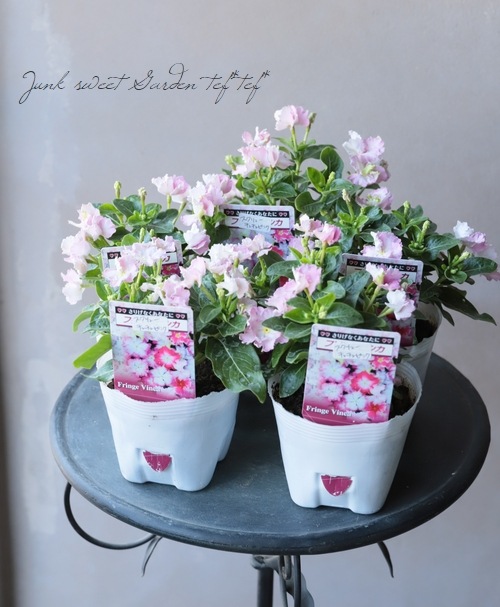 �˥��˥��������ե�󥸥ӥ󥫡��إ�����塼�������� �ڥԥ󥯡�