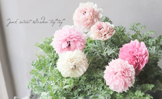 八重咲きアネモネ 『momo -もも-』 | すべての商品 | | Junk sweet