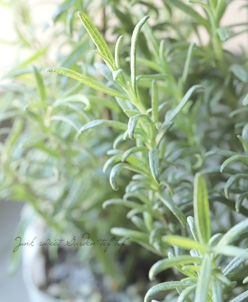 �ڥϡ��֡� Ω����������������ޥ꡼���إ���ƥåɥ�����ɡ١إ���ƥ��å�������ɡ�