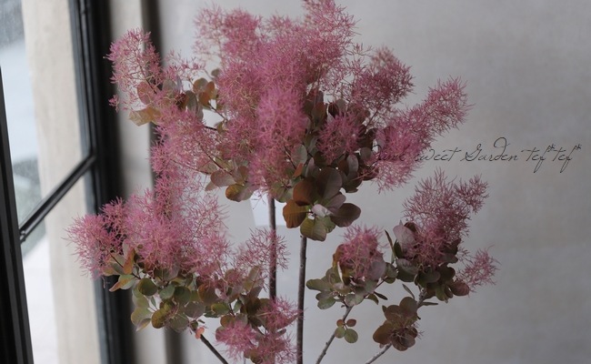 3_000000015845.jpg?1621087189