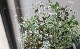 �桼�ե���ӥ����إ�ӡ��������� �ԥ󥯲�