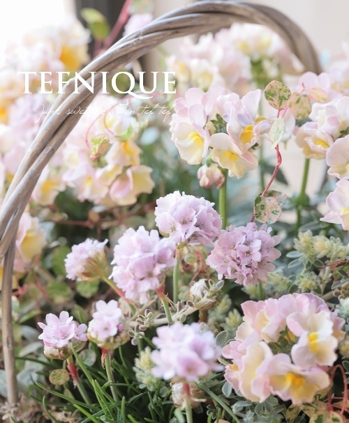 寄せ植え】-TEFNIQUE-寄せ植え 2022 * no.1 * 『春色パステル