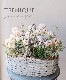 �ڴ󤻿�����-TEFNIQUE-�󤻿��� 2022 * no.1 *���ؽտ��ѥ��ƥ�Х����åȡ�