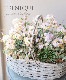�ڴ󤻿�����-TEFNIQUE-�󤻿��� 2022 * no.1 *���ؽտ��ѥ��ƥ�Х����åȡ�