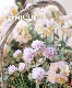 �ڴ󤻿�����-TEFNIQUE-�󤻿��� 2022 * no.1 *���ؽտ��ѥ��ƥ�Х����åȡ�