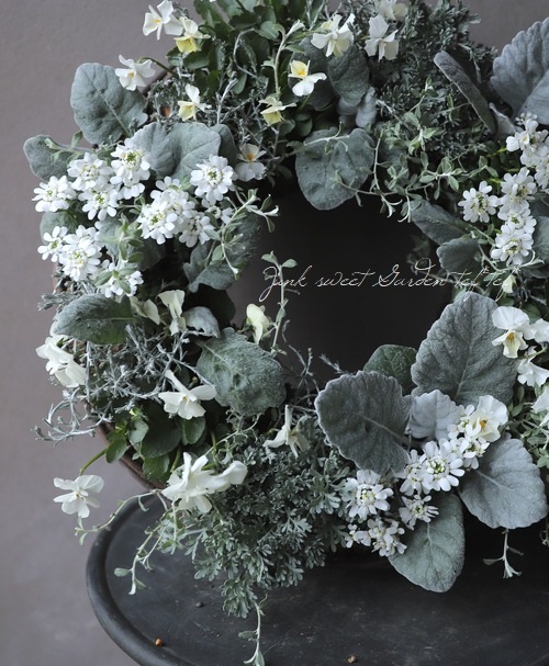 tef*tef*�󤻿����꡼�� 2017 * no.32 * �ع��ι��Υۥ磻�ȥ��ꥹ�ޥ� ��