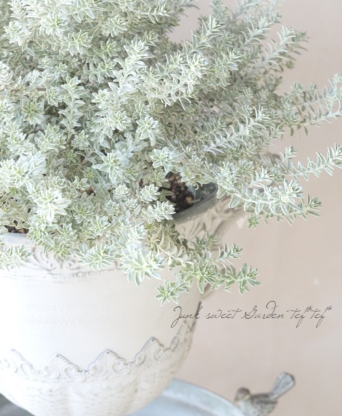 ꥦȥ󥮥إۥ磻ȡХꥨ١ƫȭ