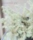 ꥦȥ󥮥إۥ磻ȡХꥨ١ƫȭ