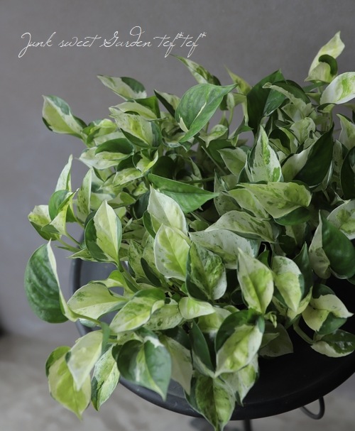 �ݥȥ����إ������Х륰�꡼��١��ߤ�ȭ