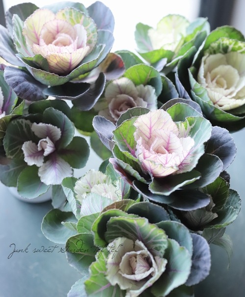 �ղ�ð���إ���ƥåȥ֡����١�