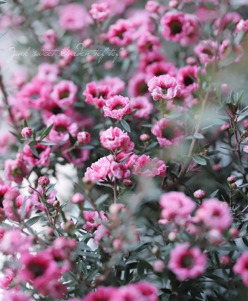 Ȭ�ź餭�����奦�Х� �إ��֥�ԥ󥯡� �����˶������в���