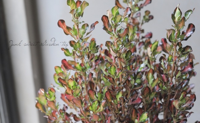 ���ץ����ޡ��إѥ��ե��å����󥻥åȡ�