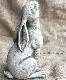 �ڻ��ߡ� �ѹ�SPARTA STATUES ��Moon Gazing Hare�� �����ǥ󥪡��ʥ���