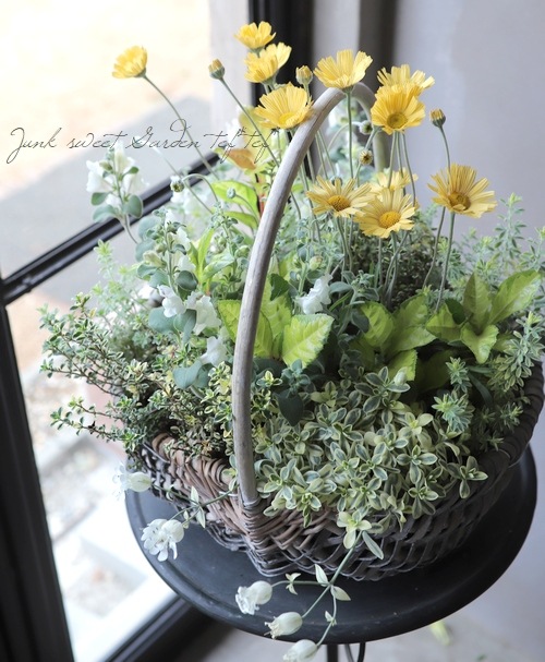◇M・I様専用◇ オーダーメイドの寄せ植え | すべての商品 | | Junk