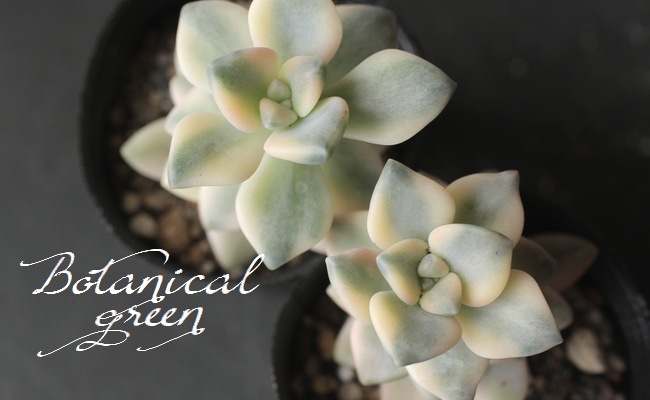 15_000000010147.jpg?1678209903