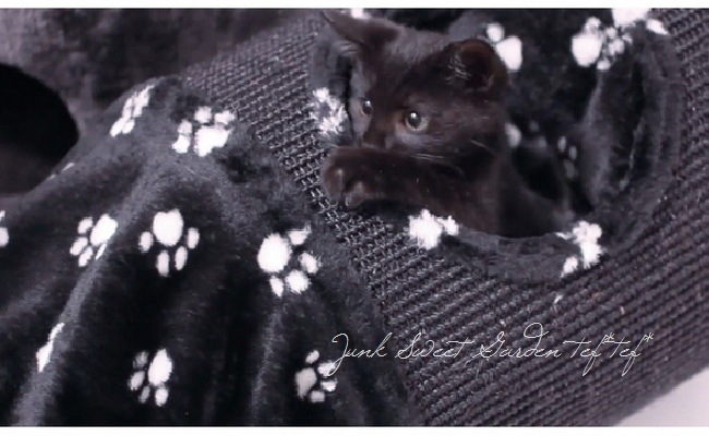 �ڻ��ߡۥ���åȥȥ�ͥ� �֥�å� ­��