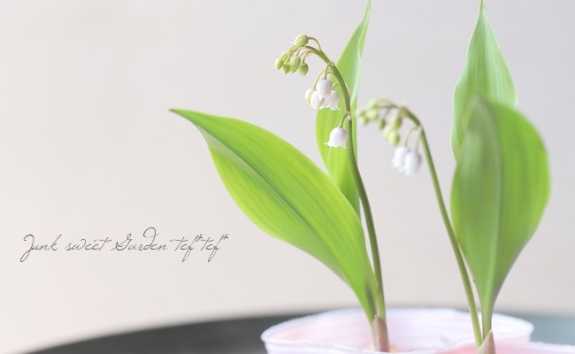 球根植物】 ドイツスズラン 『ピンク』 | すべての商品 | | Junk sweet