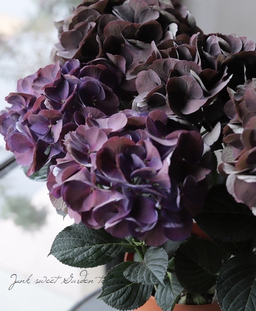 �ڱ�����ݥ��ꥸ�ʥ�� �����ϻ��۲֡��إ������󥺥֥�å���