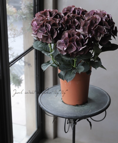 �ڱ�����ݥ��ꥸ�ʥ�� �����ϻ��۲֡��إ������󥺥֥�å���